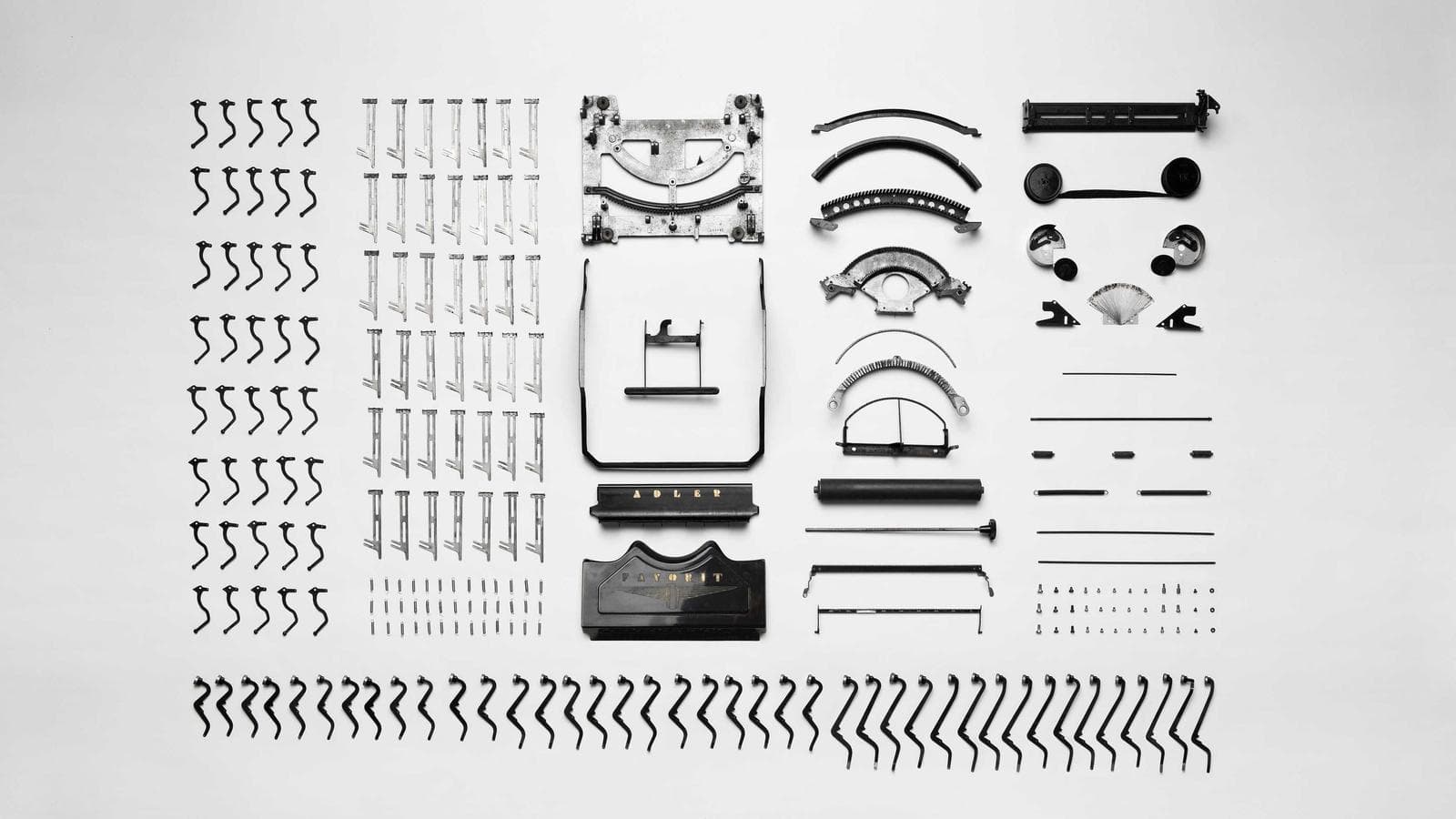 Your Complete Guide to Earth Day 2026 on Long Island: Free Trees, Campus Events, and Community Cleanups